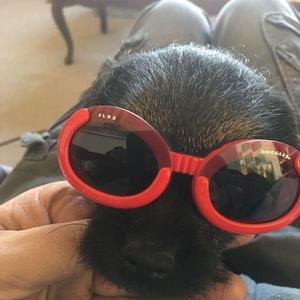 Meet your Posher, Elizabeth